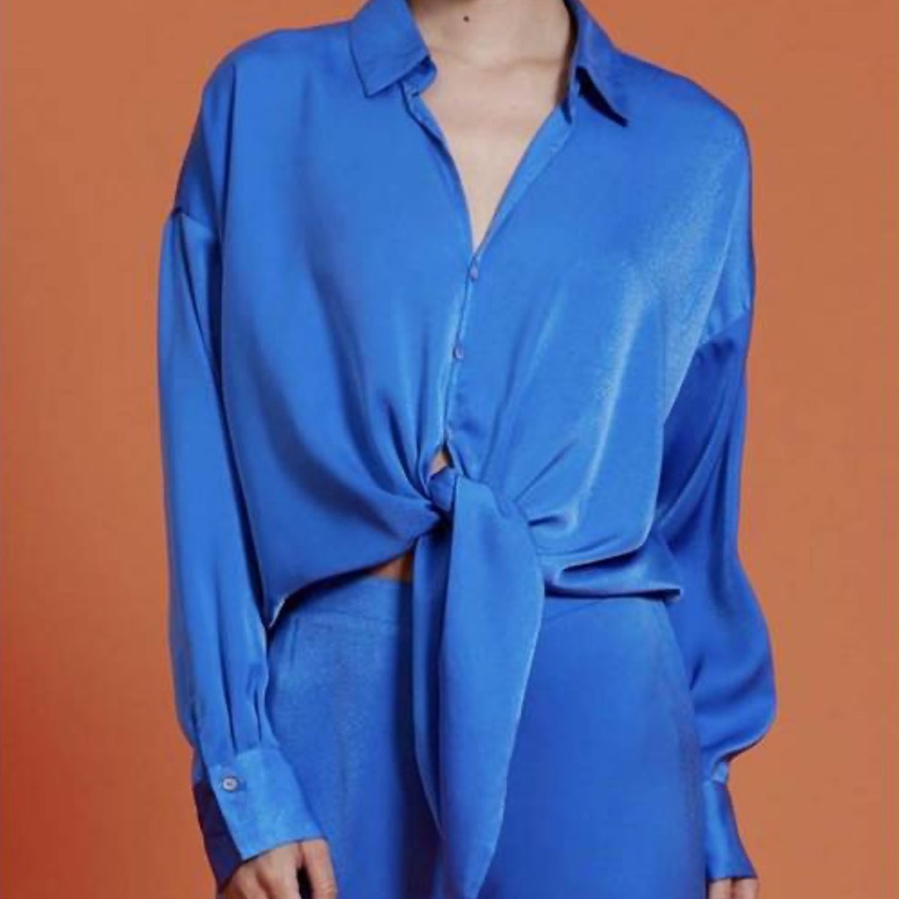 LUCY PARIS rue button down top in electric blue size large